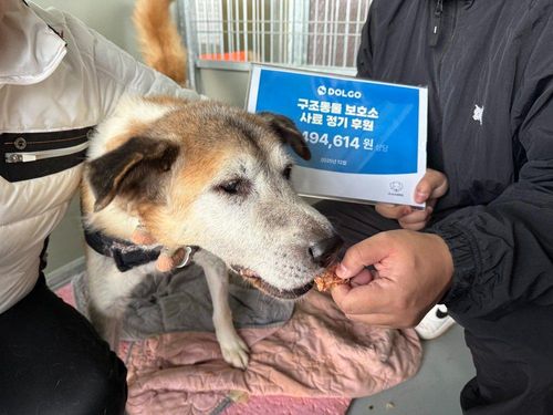 슬라이드 이미지