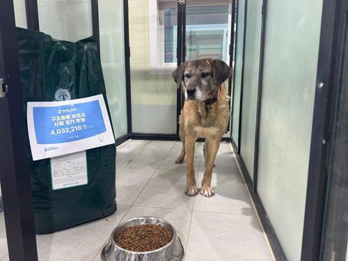 슬라이드 이미지