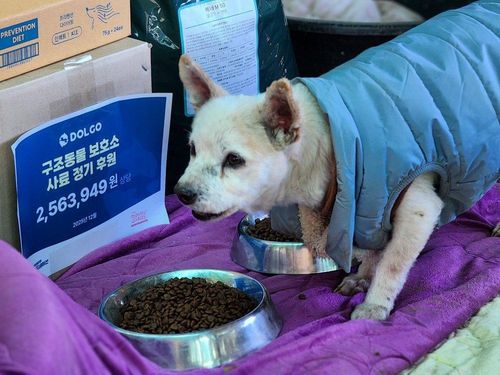 슬라이드 이미지