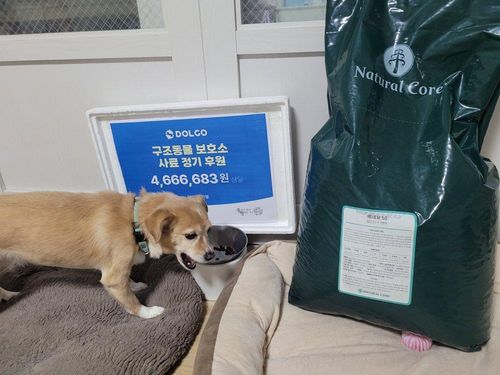 슬라이드 이미지