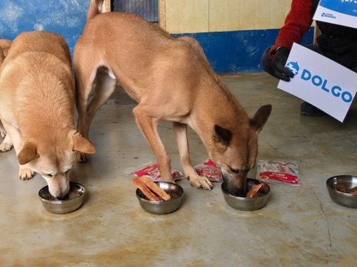 슬라이드 이미지