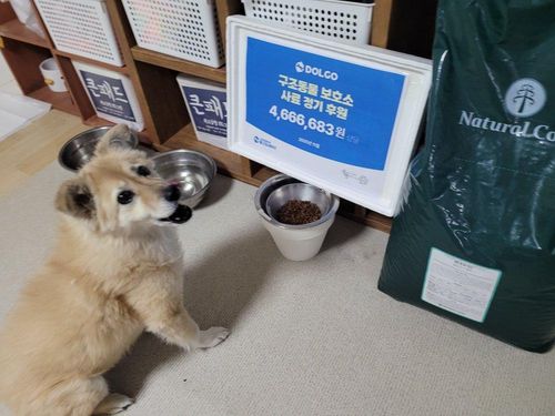 슬라이드 이미지