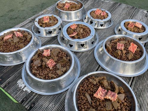 슬라이드 이미지