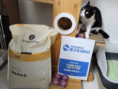 슬라이드 이미지