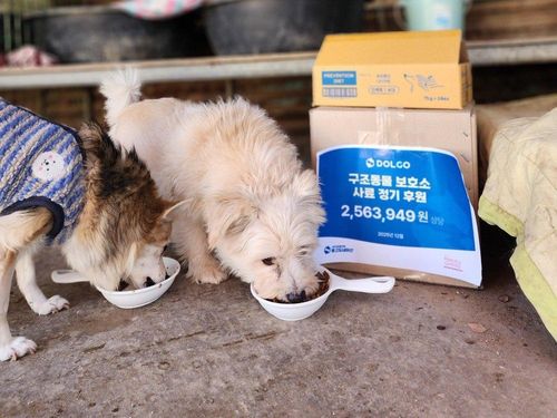 슬라이드 이미지