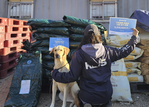 슬라이드 이미지