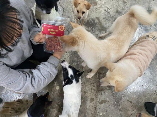 슬라이드 이미지