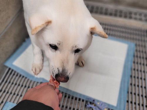 슬라이드 이미지