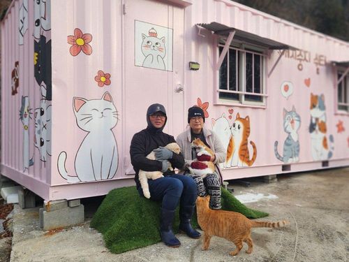 슬라이드 이미지