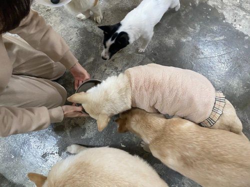 슬라이드 이미지