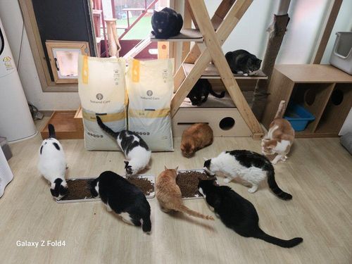 슬라이드 이미지