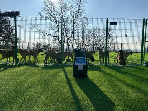 슬라이드 이미지