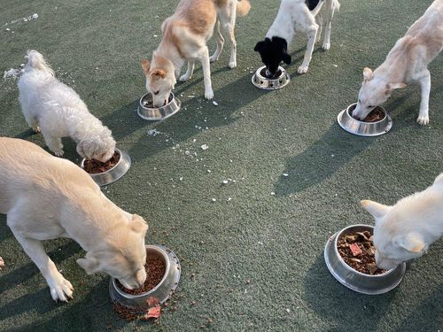 슬라이드 이미지