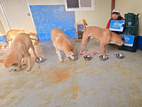 슬라이드 이미지