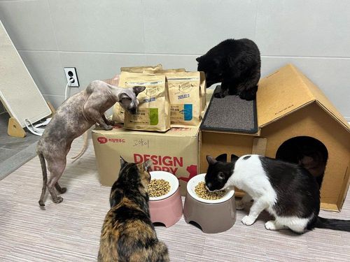 슬라이드 이미지