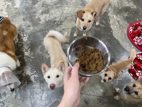 슬라이드 이미지