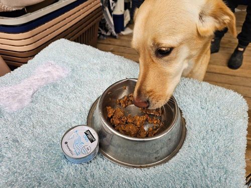 슬라이드 이미지