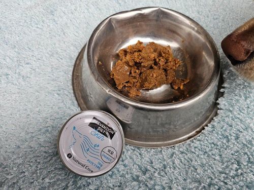 슬라이드 이미지