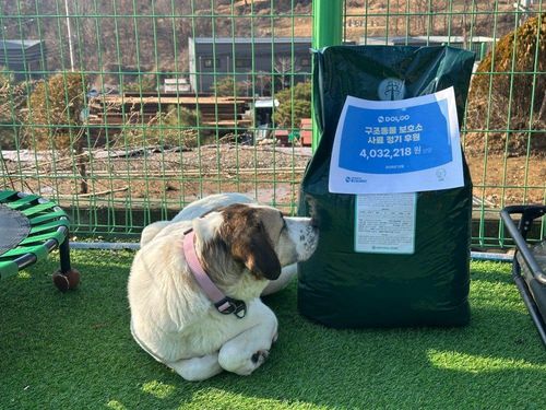 슬라이드 이미지