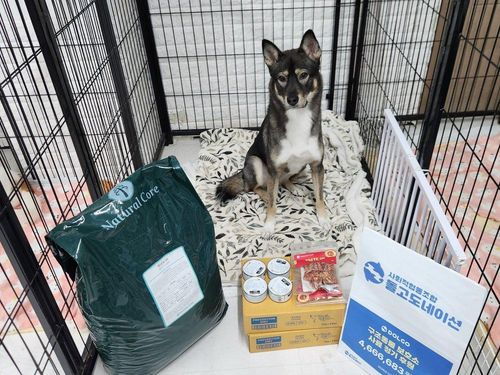 슬라이드 이미지