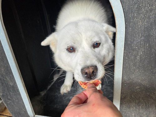 슬라이드 이미지