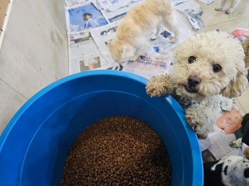 슬라이드 이미지