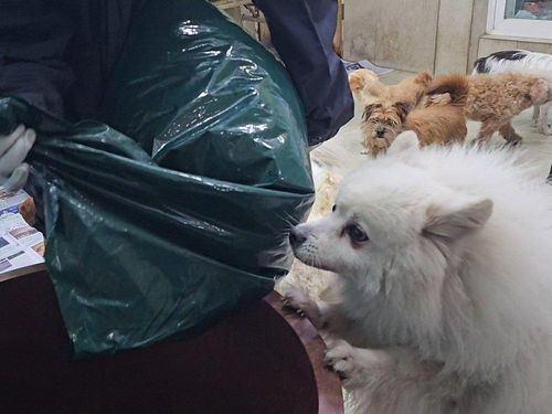 슬라이드 이미지