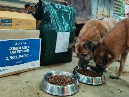 슬라이드 이미지