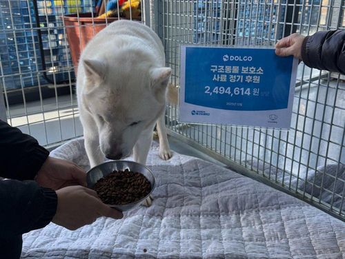 슬라이드 이미지