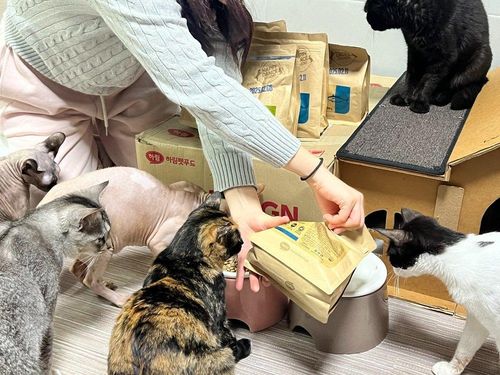 슬라이드 이미지