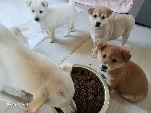 슬라이드 이미지