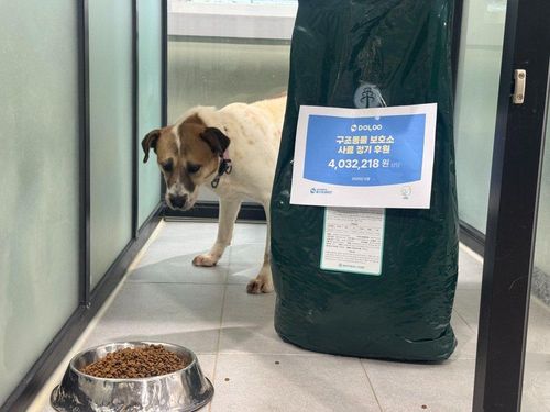 슬라이드 이미지