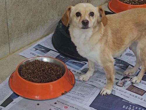 슬라이드 이미지