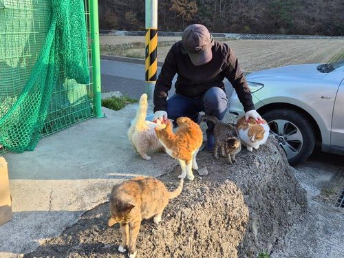 슬라이드 이미지