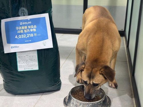 슬라이드 이미지