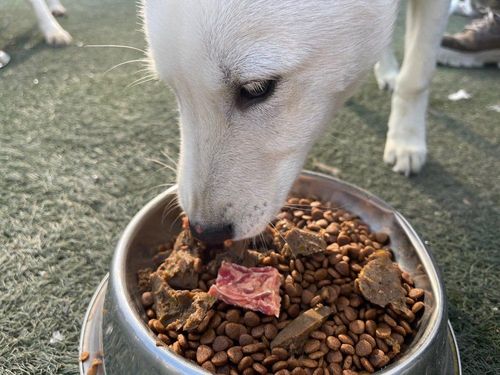 슬라이드 이미지