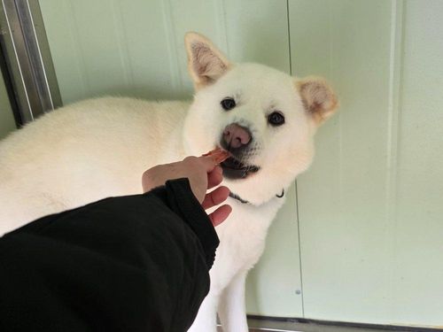 슬라이드 이미지