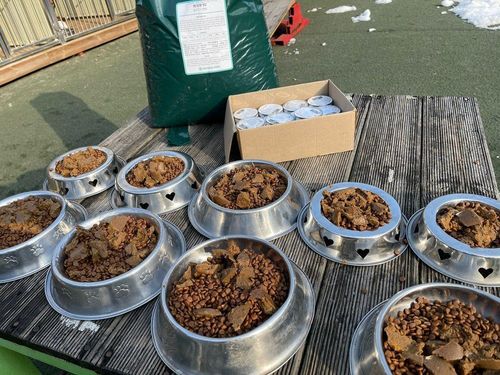 슬라이드 이미지