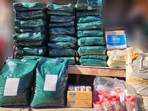 슬라이드 이미지