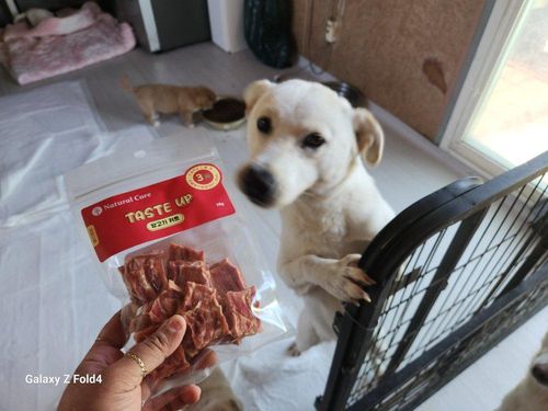 슬라이드 이미지