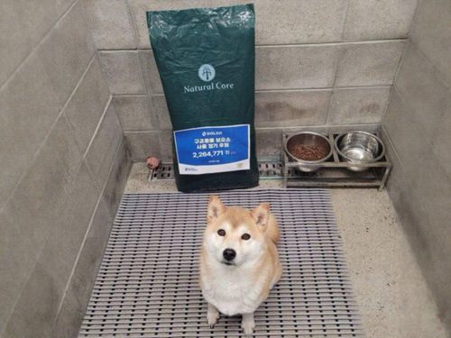 슬라이드 이미지