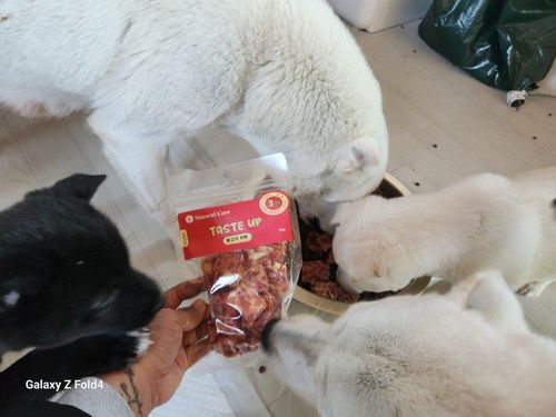 슬라이드 이미지