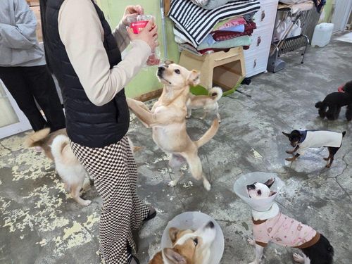 슬라이드 이미지