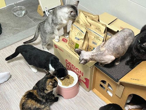 슬라이드 이미지