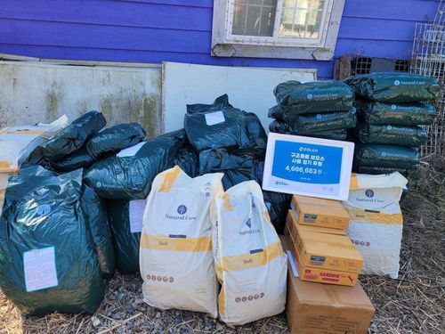 슬라이드 이미지