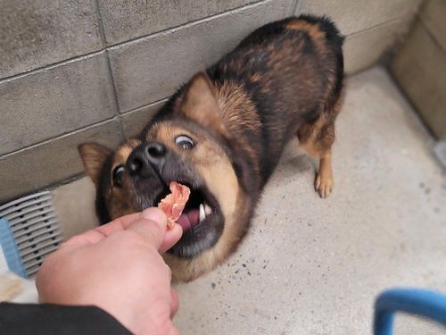 슬라이드 이미지