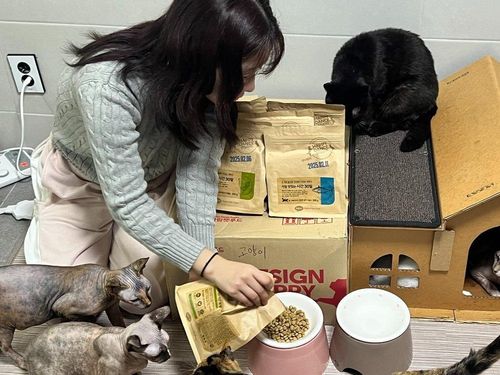 슬라이드 이미지