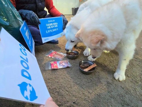 슬라이드 이미지