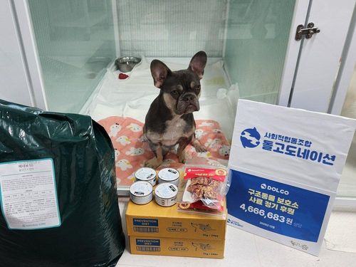 슬라이드 이미지