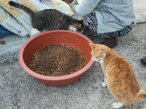 슬라이드 이미지